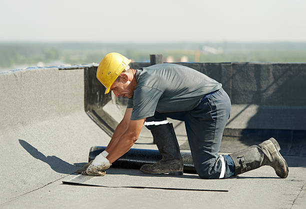Best Specialty Insulation in Tarkio, MO